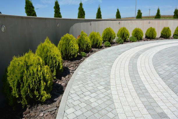 Best Custom Driveway Pavers  in Yutan, NE